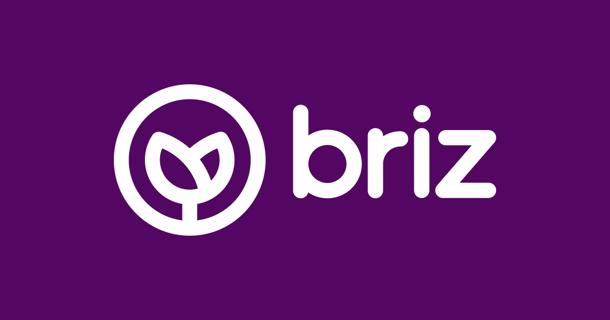 BRIZ MUEBLES